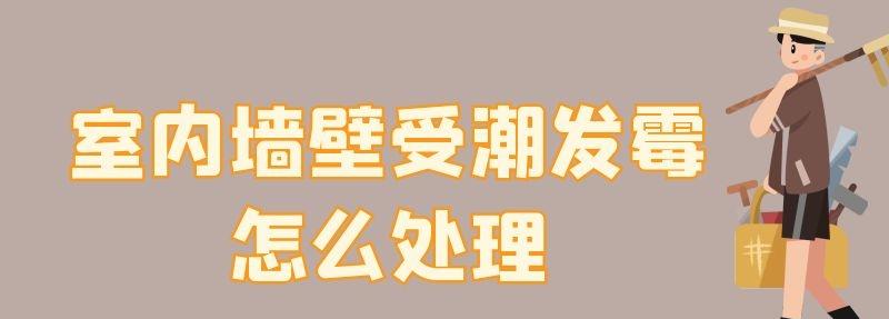 室内墙壁受潮发霉怎么处理